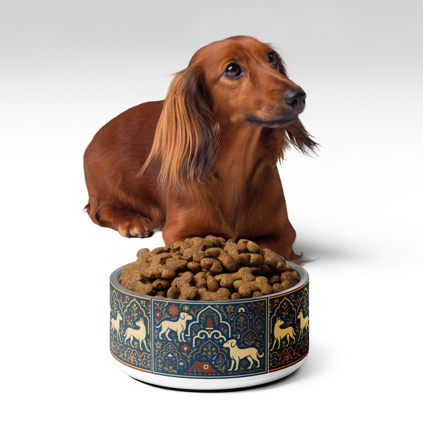 Dachshund sitting next to a decorative dog bowl filled with kibble on a white background